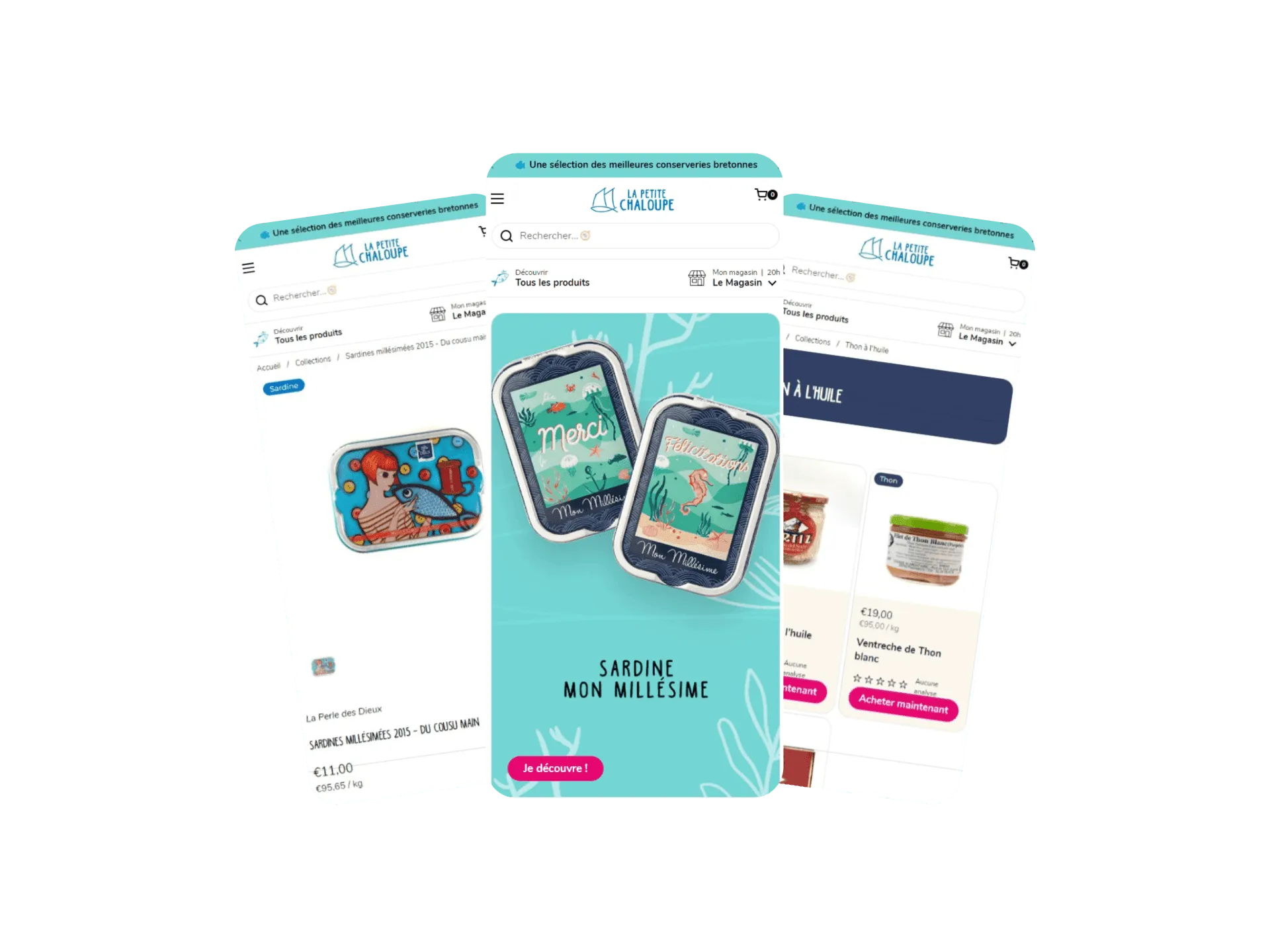 Site Responsive avec Shopify dans le Puy de Dome