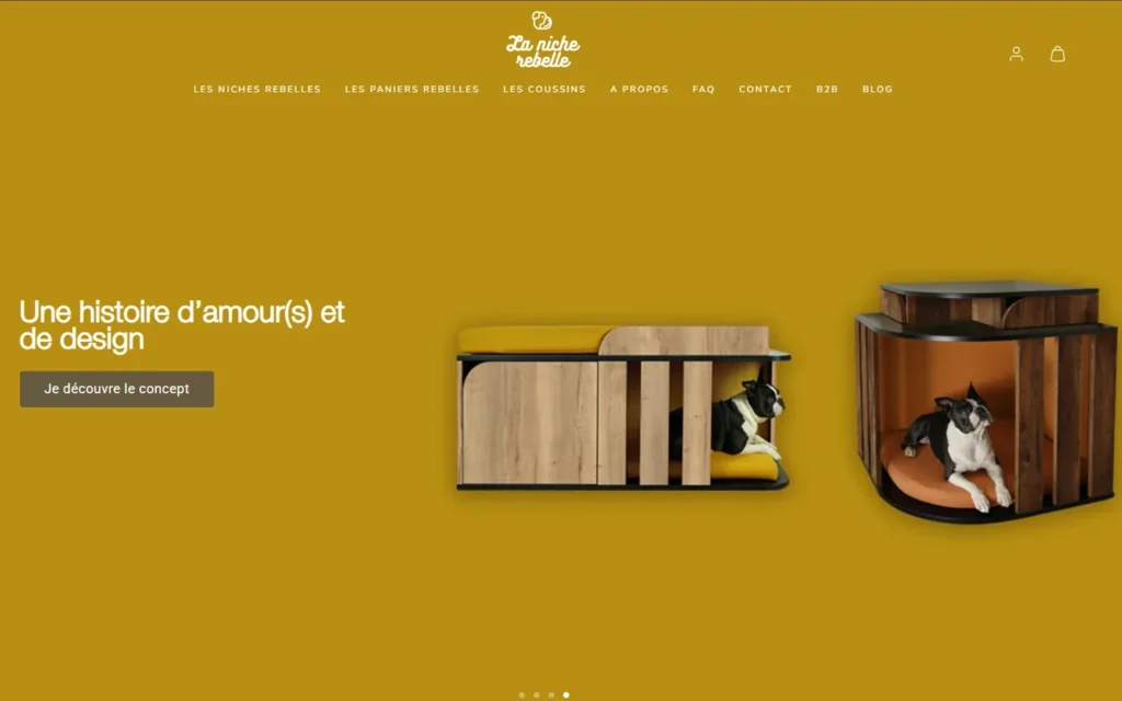 site shopify en auvergne