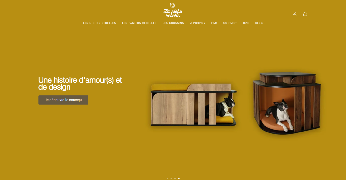 Site Shopify personnalisé à Clermont dans Auvergne